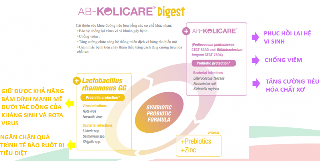AB – Kolicare Digest: Men vi sinh được WHO khuyến nghị hàng đầu trong tiêu chảy ở trẻ sơ sinh và trẻ nhỏ