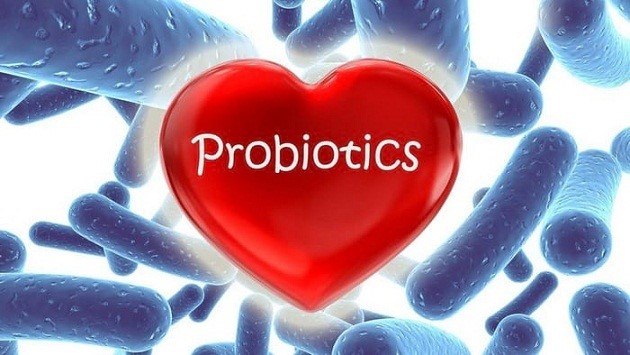 Men vi sinh hay còn được gọi là probiotic, là những vi khuẩn và vi nấm có lợi cho sức khỏe con người, nhất là đối với hệ tiêu hóa bởi chúng có khả năng duy trì và giúp đường ruột sạch sẽ và khỏe mạnh hơn.