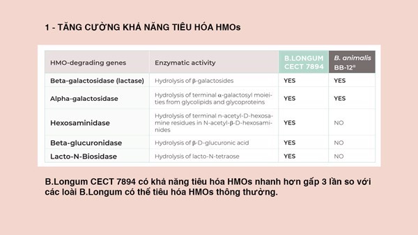 Trong các chủng lợi khuẩn thuộc Bifidobacteria có thể tiêu hóa được HMOs, nổi trội có chủng Bifidobacterium longum CECT 7894, là chủng duy nhất chứa tất cả các enzyme có thể tiêu hóa được HMOs và còn có khả năng tiêu hóa nhanh hơn gấp 3 lần so với chững loài Bifidobacterium longum có thể tiêu hóa được HMOs thông thường.